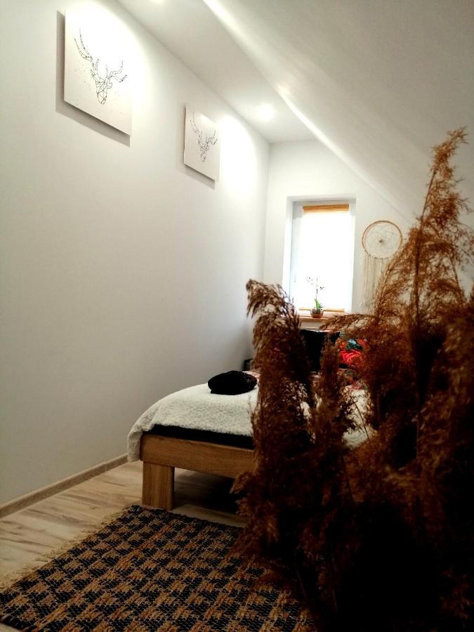 Apartament U Edka Przy Dolnej Swieradow-Zdroj Exterior photo
